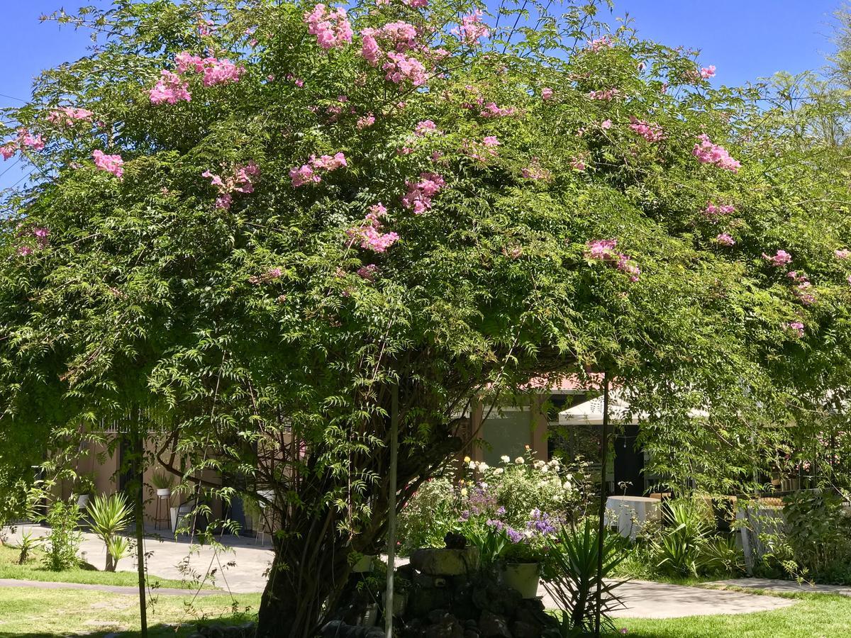 Hotel Grace Valley Arequipa Exterior foto