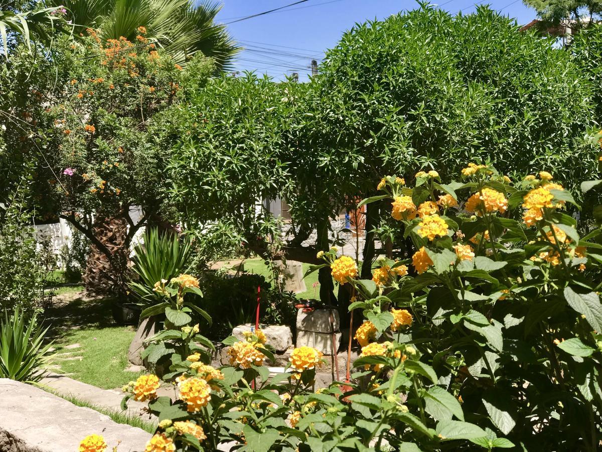 Hotel Grace Valley Arequipa Exterior foto